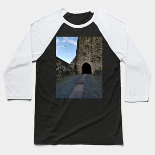 Bird and Castle Baseball T-Shirt